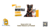 Ofertele lunii la Petmagazin 1 + al doilea 50% reducere