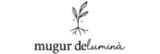 Mugurdelumina.ro